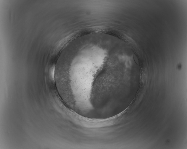 X0000116100047200912071310