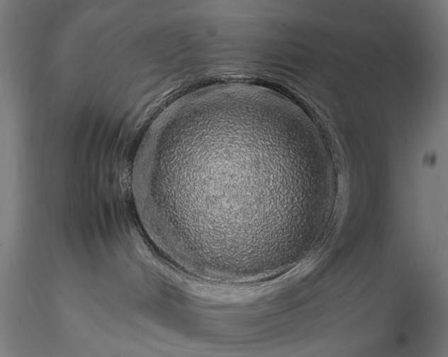 X0000116100048200912071310