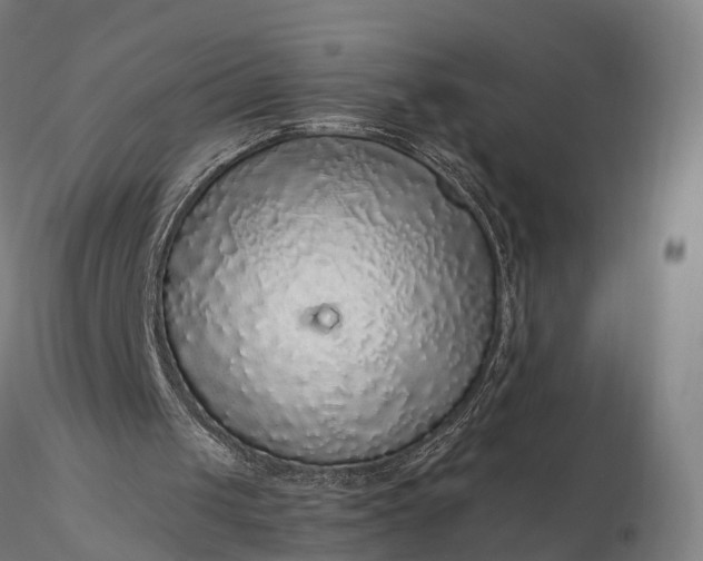 X0000116100049200912071309