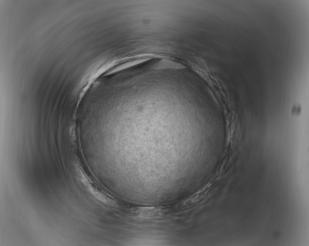 X0000116100050200912071309