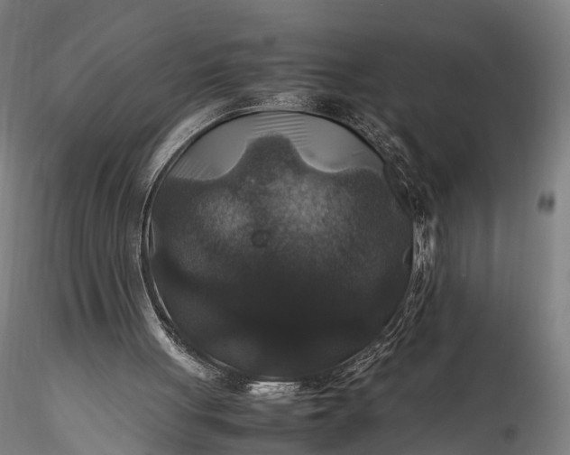 X0000116100051200912071309