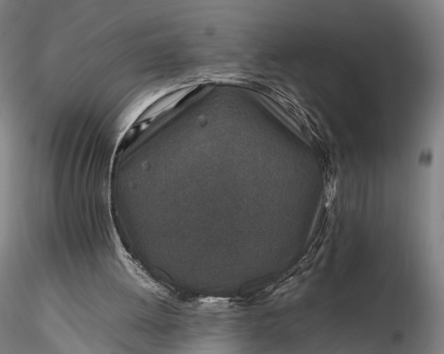 X0000116100052200912071309