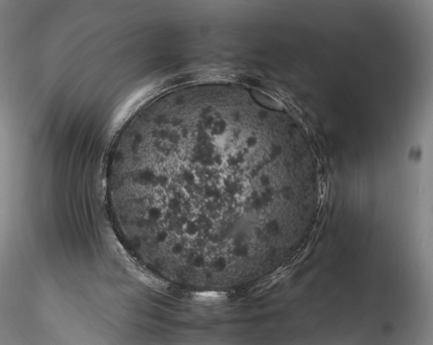 X0000116100053200912071309