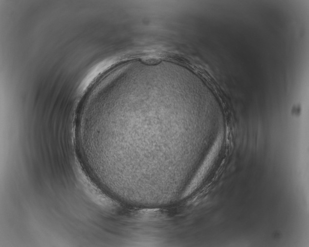 X0000116100054200912071309