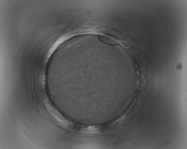 X0000116100056200912071309