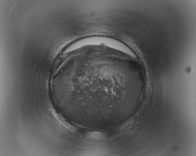 X0000116100058200912071309