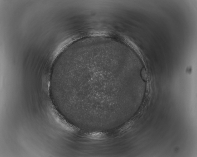 X0000116100059200912071309