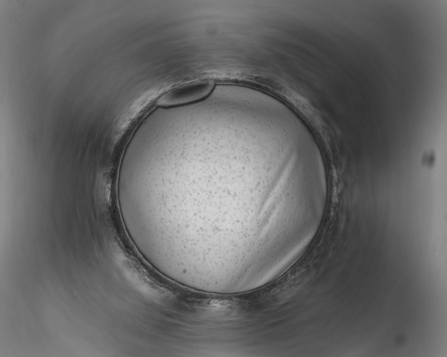 X0000116100060200912071309