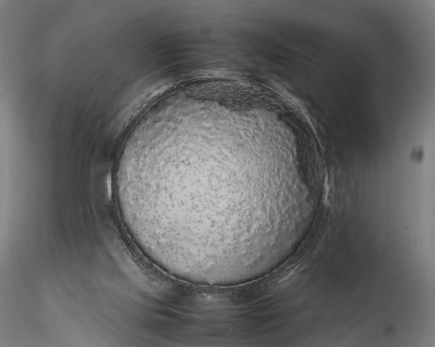 X0000116100061200912071309