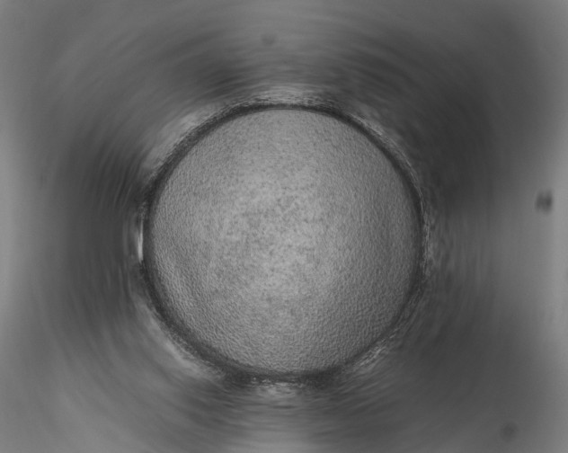 X0000116100062200912071309