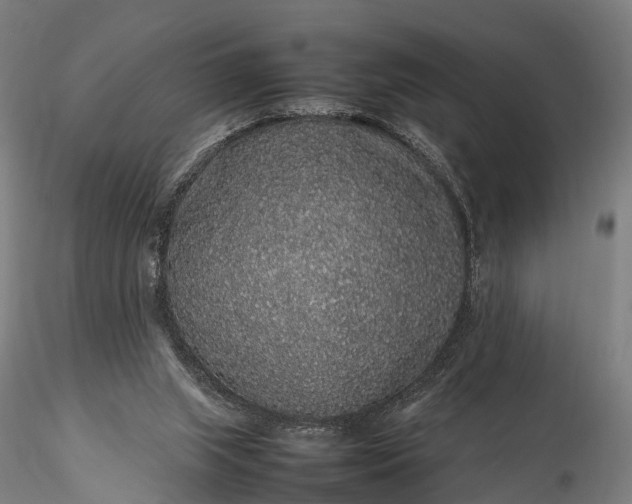 X0000116100063200912071309