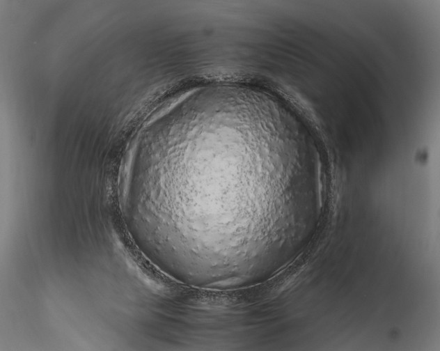 X0000116100065200912071309