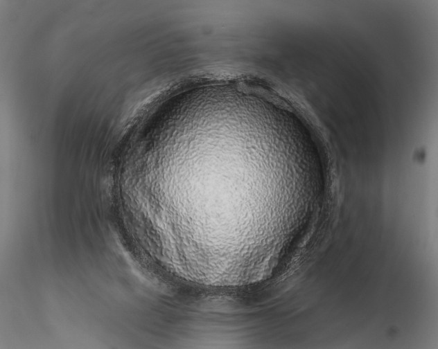 X0000116100066200912071309