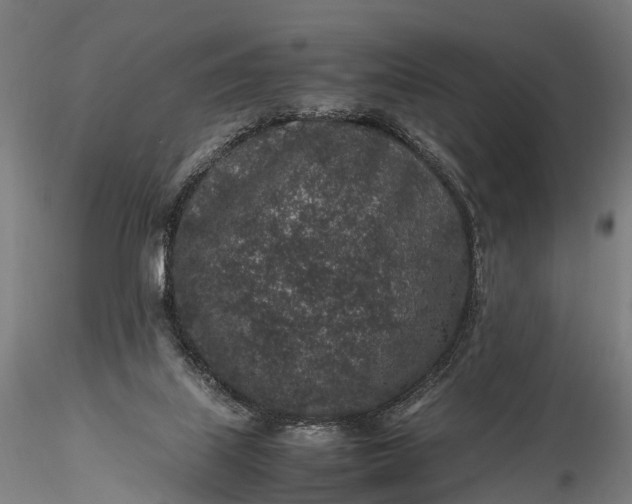 X0000116100067200912071309