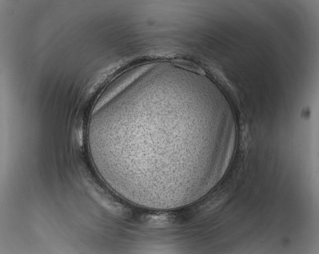 X0000116100068200912071309