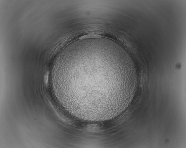 X0000116100070200912071309