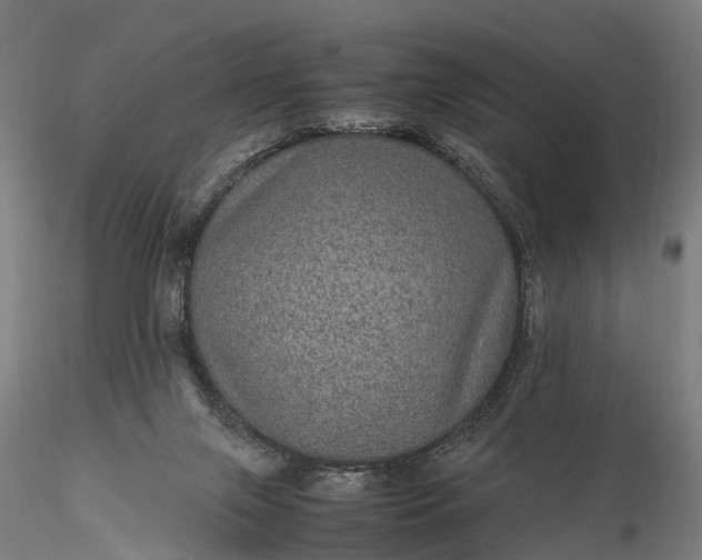 X0000116100071200912071309