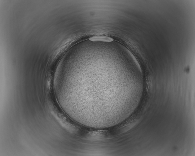 X0000116100072200912071309