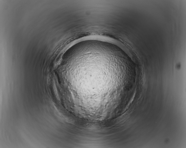 X0000116100074200912071309