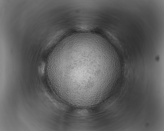 X0000116100075200912071309