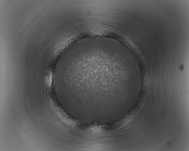 X0000116100076200912071309