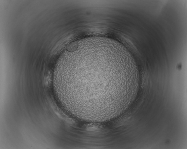 X0000116100077200912071309