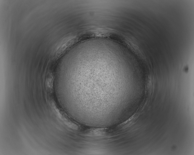 X0000116100078200912071309