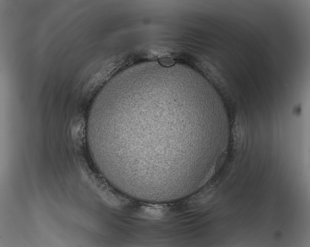 X0000116100079200912071309