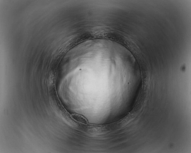 X0000116100081200912071309