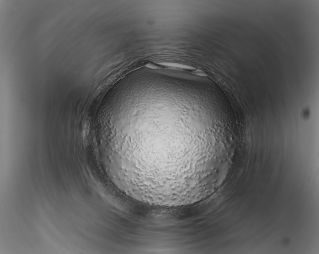 X0000116100082200912071309