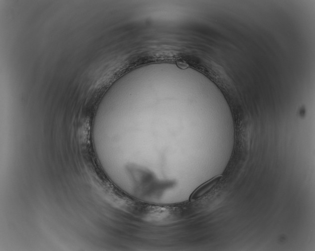 X0000116100083200912071309