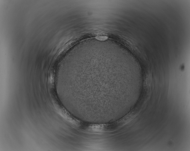 X0000116100084200912071309