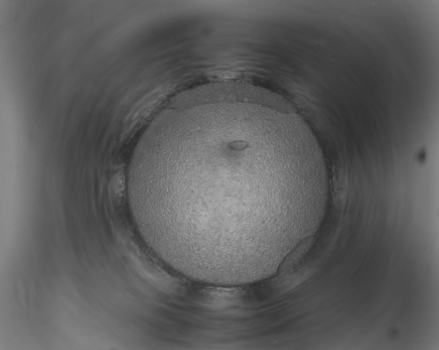 X0000116100085200912071310