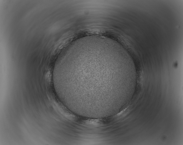 X0000116100086200912071310