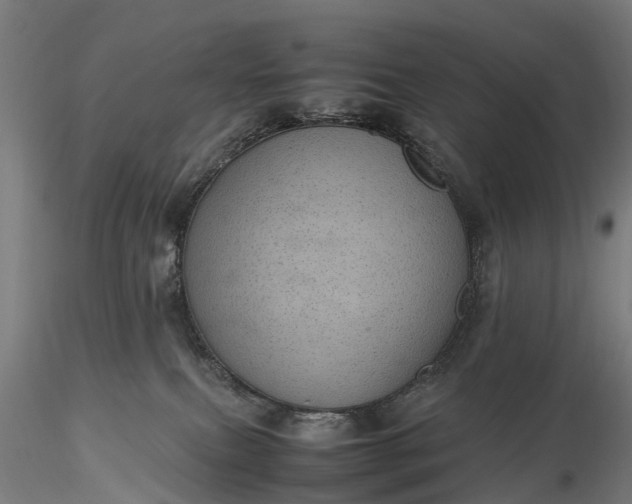 X0000116100087200912071310