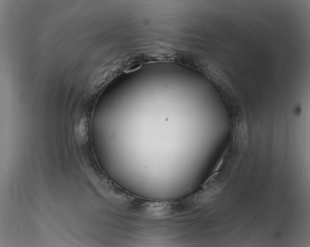 X0000116100088200912071310