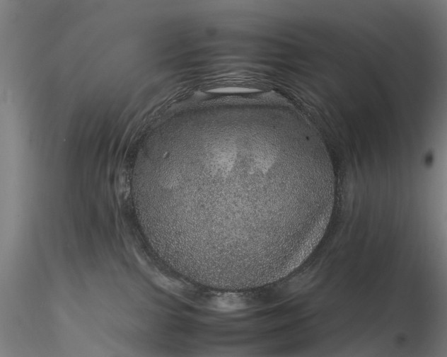 X0000116100091200912071310