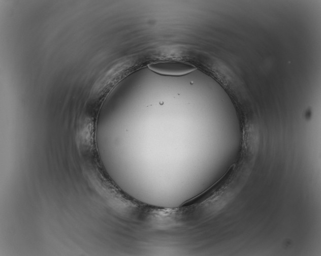 X0000116100092200912071310