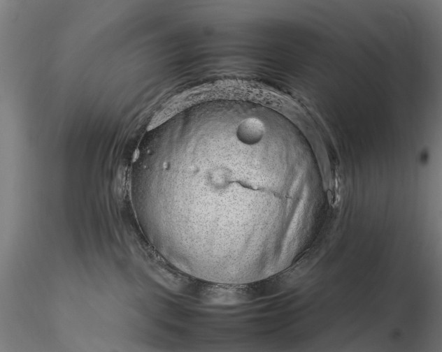 X0000116100093200912071310