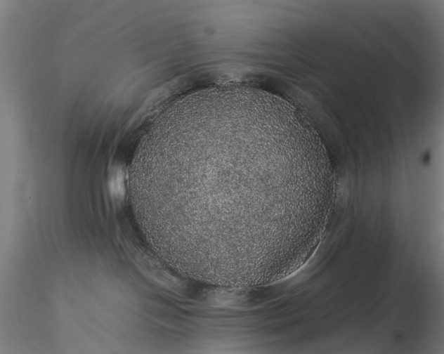 X0000116100094200912071310