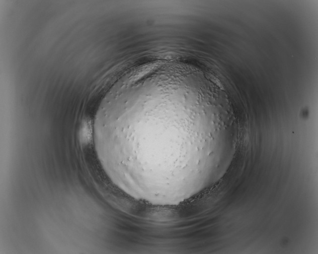 X0000116100095200912071310