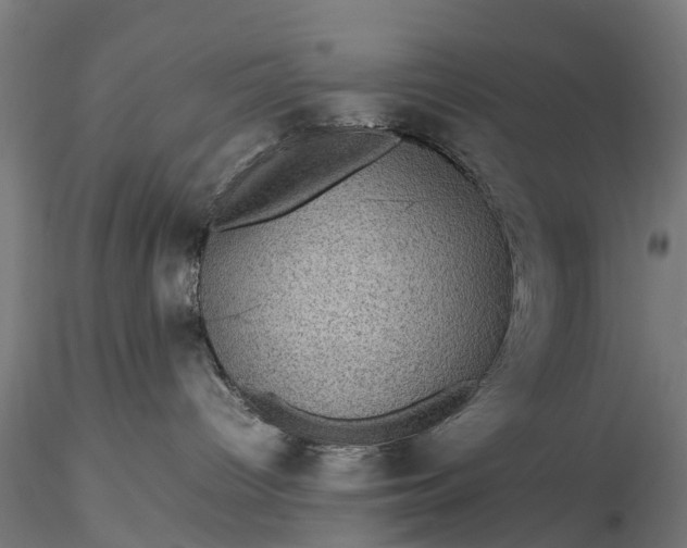 X0000116100096200912071310