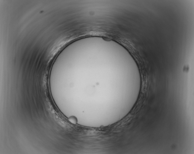 X0000116100098200912071309