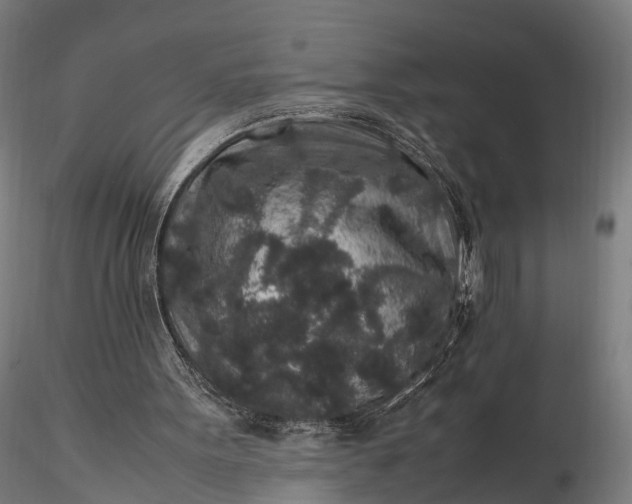 X0000116100099200912071309