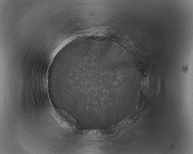 X0000116100100200912071309