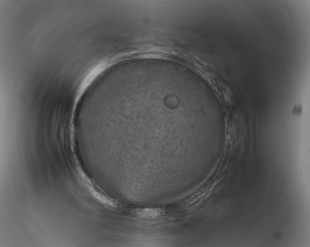 X0000116100102200912071309