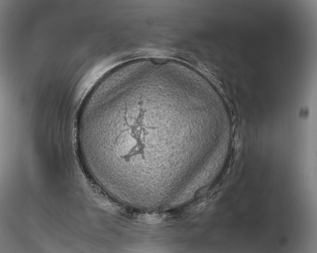 X0000116100103200912071309