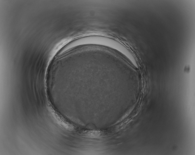 X0000116100104200912071309