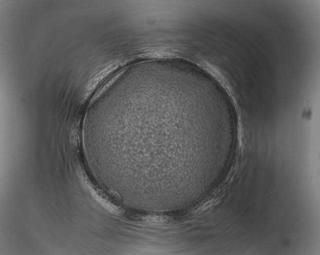 X0000116100105200912071309