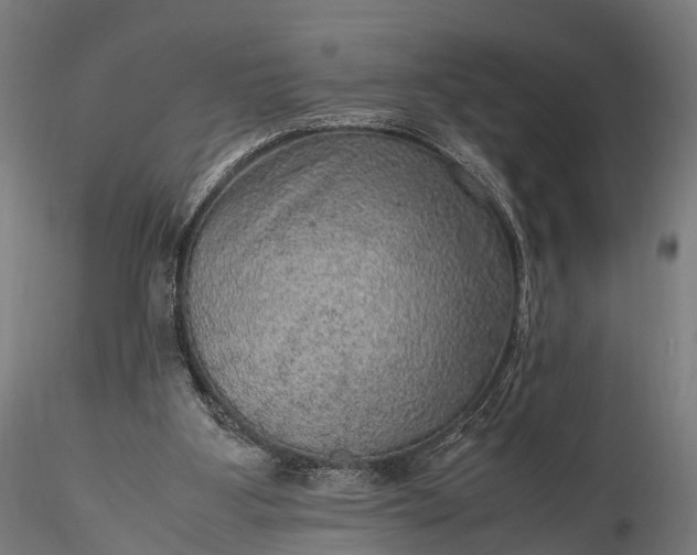 X0000116100107200912071309